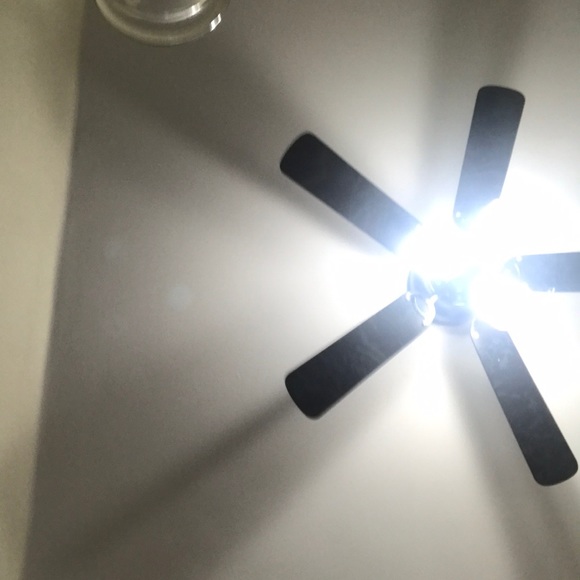 Meet your Posher, Hope - Picture 1 of 1